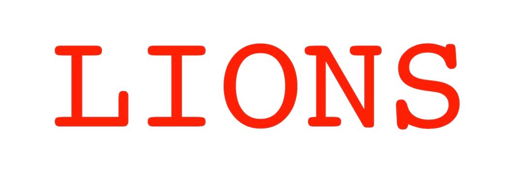 Barstool Lions banner