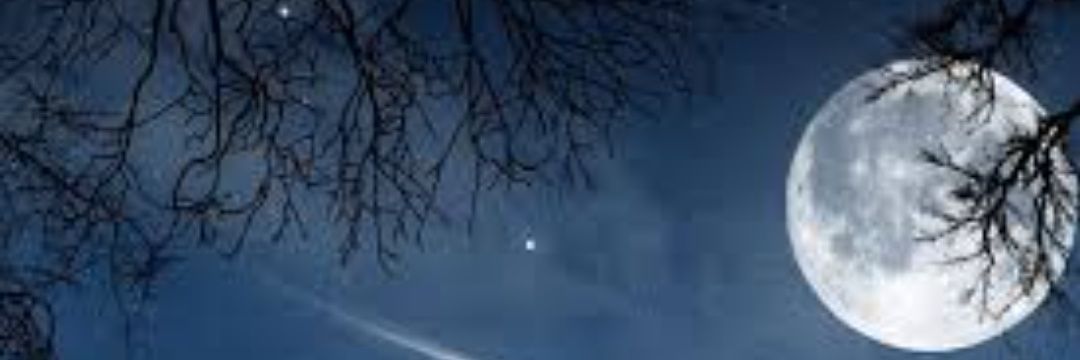 Esra_orgn's profile banner image