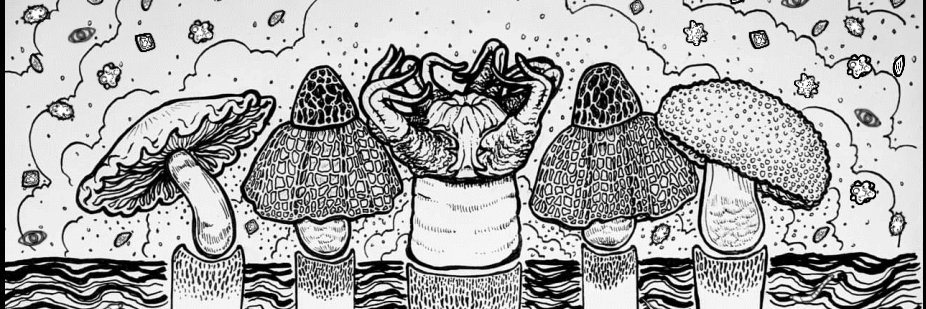 SyrenaWhitner's profile banner image