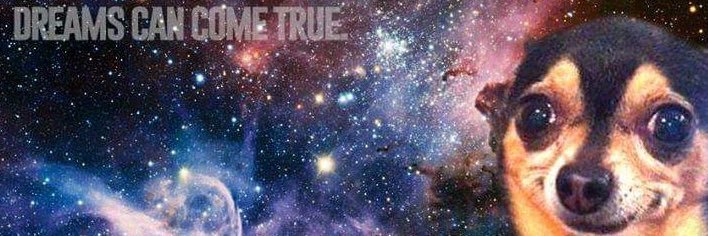 thebluntanalyst's profile banner image