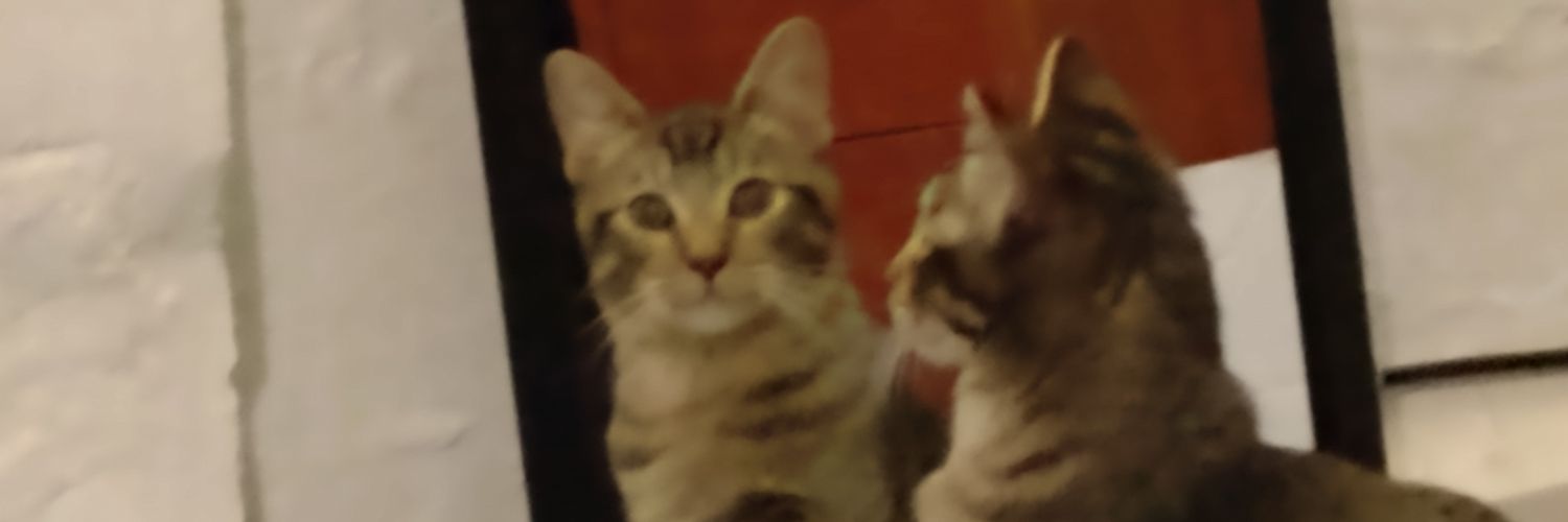 TanLRM's profile banner image