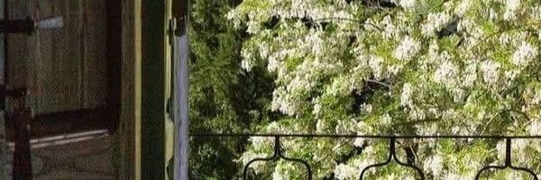 martinamenaaa's profile banner image