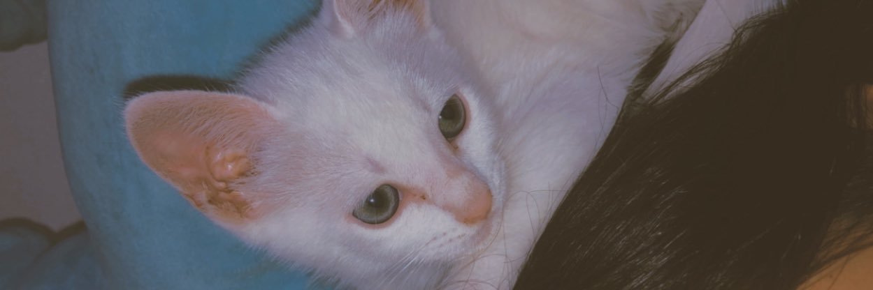EmiPeraltaa2's profile banner image