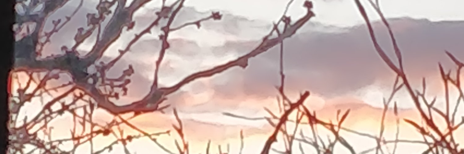 SittingDownForWomen banner