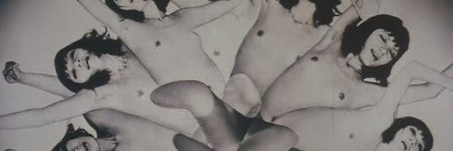 ruisinen's profile banner image