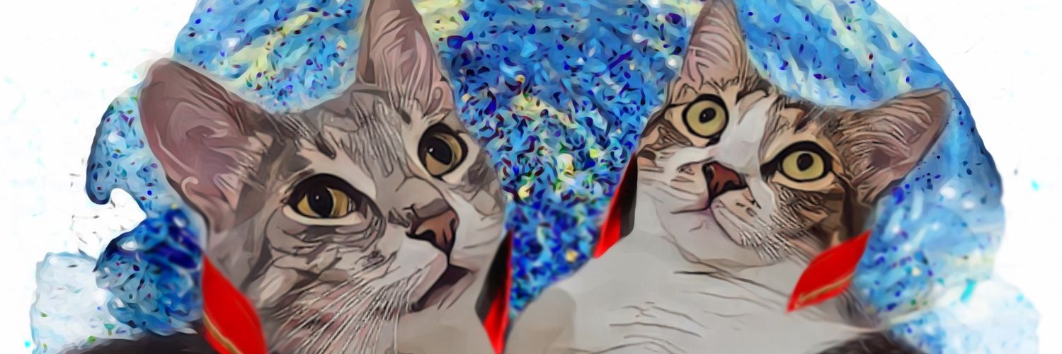 senselins's profile banner image