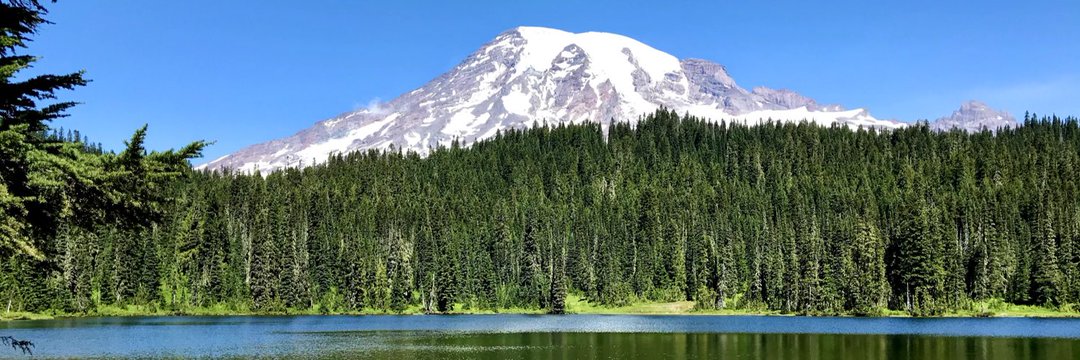 Sleepyfrog (カエル)＠日本帰省中 banner