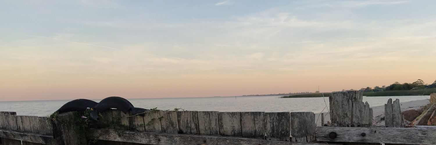 Pseudopati's profile banner image