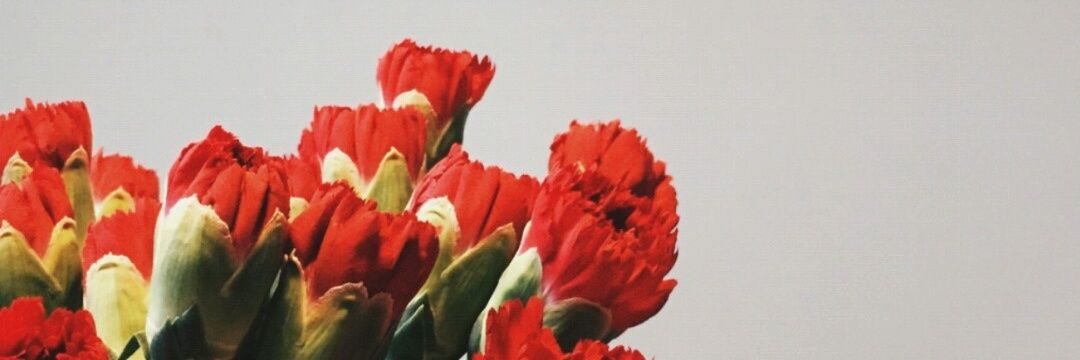 eugeneeleeee's profile banner image