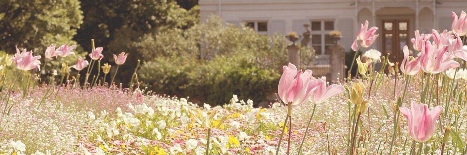 imlkb_'s profile banner image