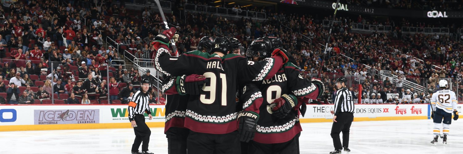 Yotes 1.0 Fan's banner