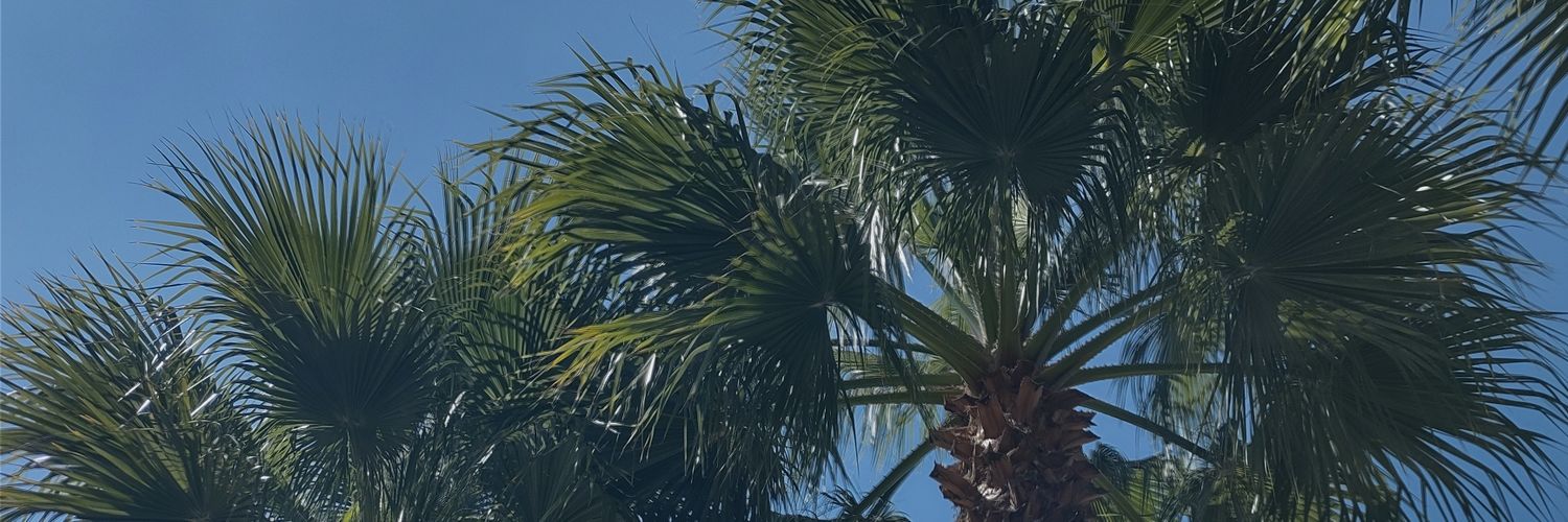 itssvale01's profile banner image
