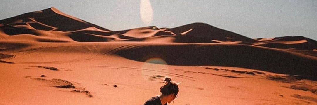 surprise1234561's profile banner image