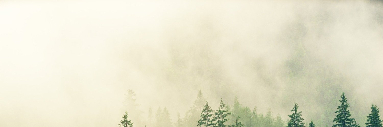 BuchKatrine's profile banner image