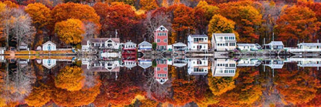 Alicia Nicole banner