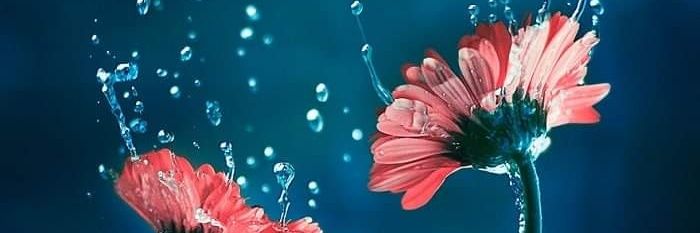 karladma's profile banner image
