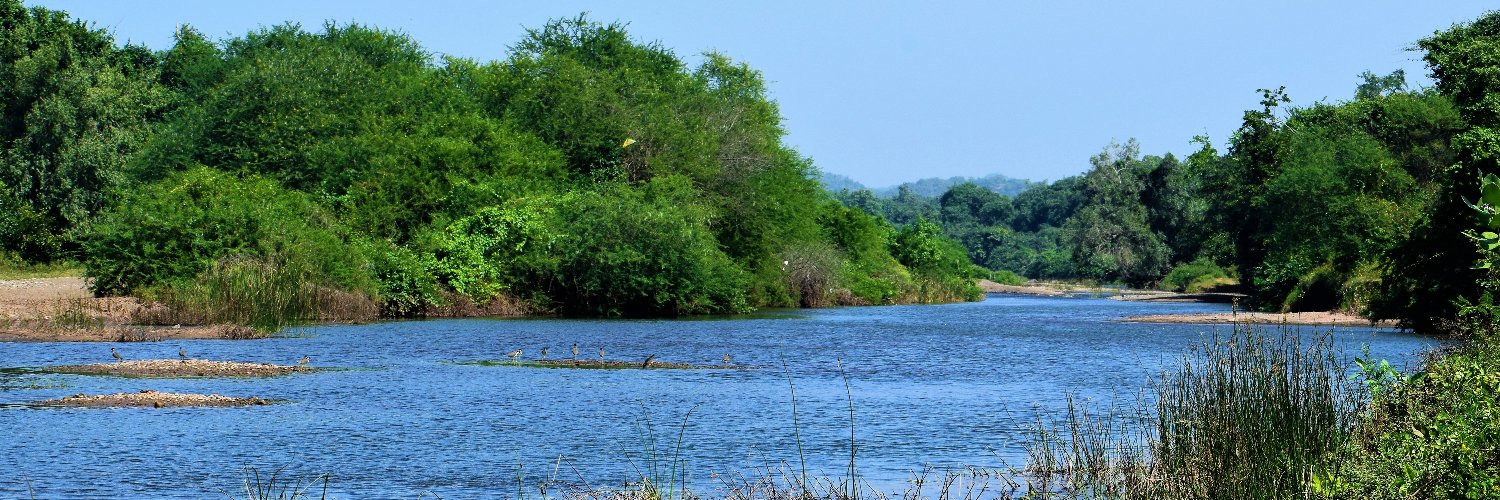 sainir786's profile banner image