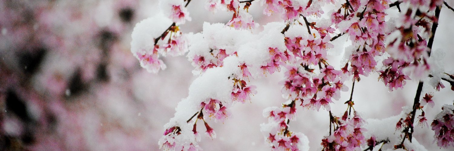 JinnkyN's profile banner image