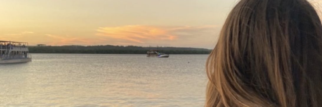 saintlamia's profile banner image