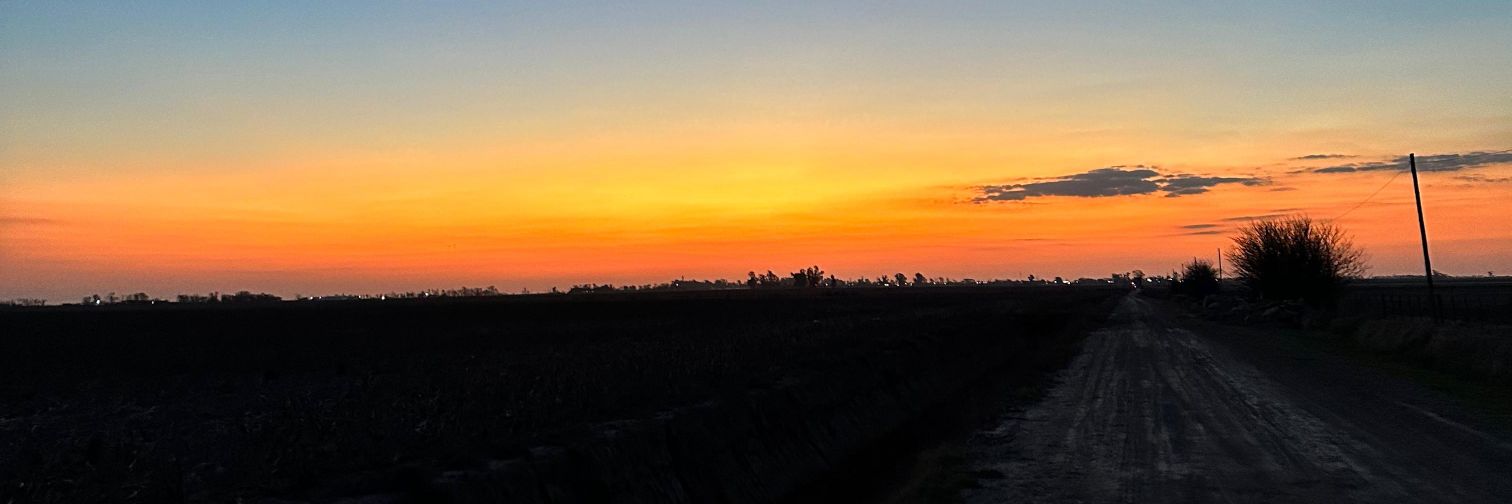 LolaGarbuglia's profile banner image