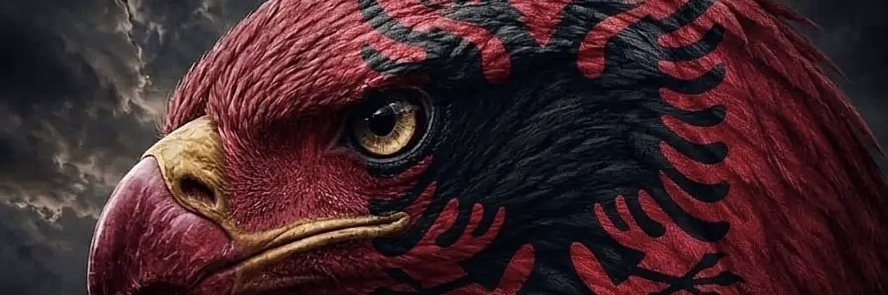 AnilaEagle's profile banner image
