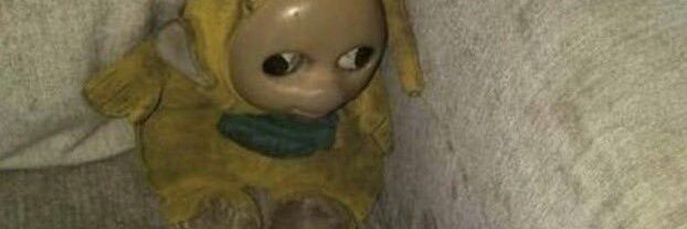 panini sandwich banner