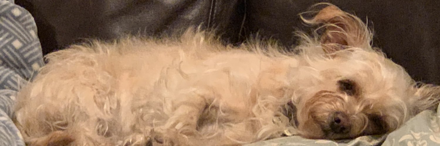 RuggieroBobbi's profile banner image