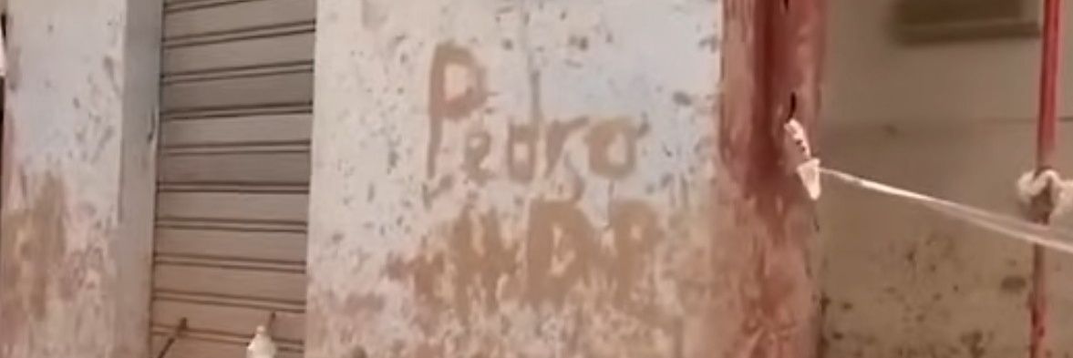 Elisa a secas banner