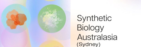 SBASydney Profile Banner