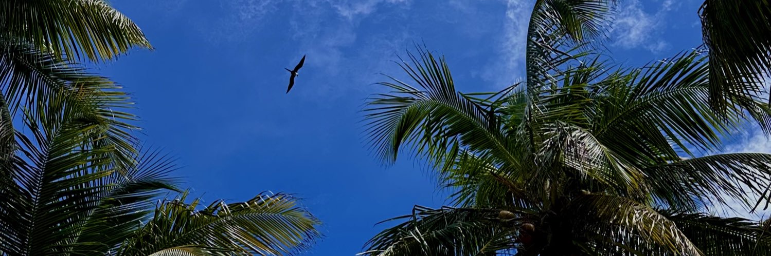 JPnotfound_'s profile banner image