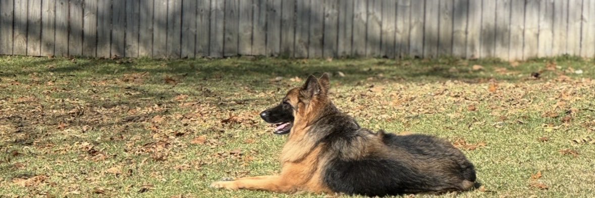 Roger Rodeheaver banner