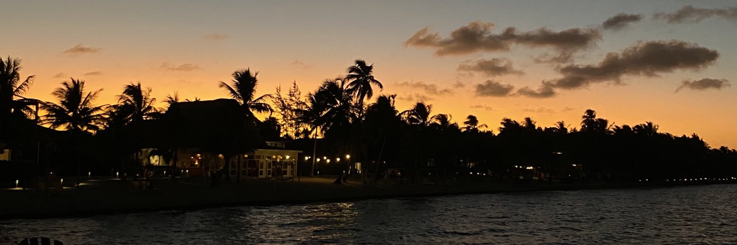 lululicioussss's profile banner image