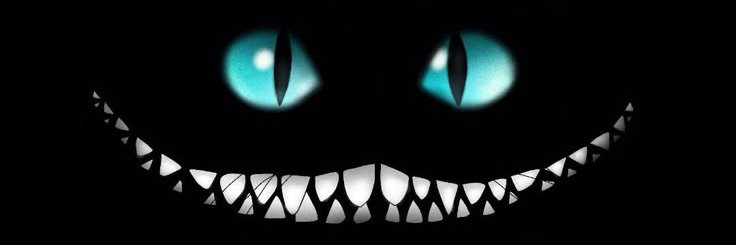 novikRJ's profile banner image