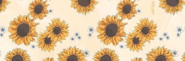 Emmylouroux's profile banner image