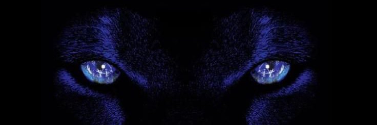 Tobi Adefusi⚡️ banner