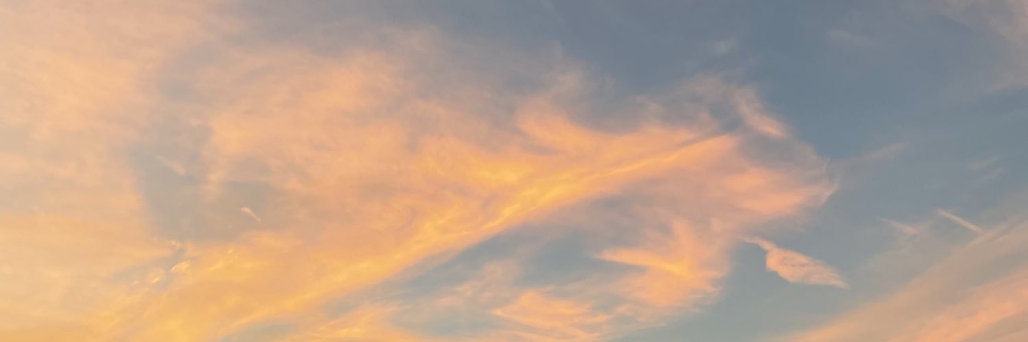 ccatalina555's profile banner image