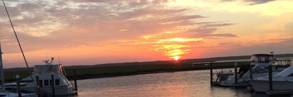 cdsilvestri's profile banner image