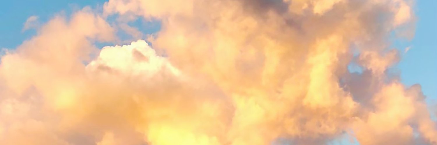 sarahmasare's profile banner image