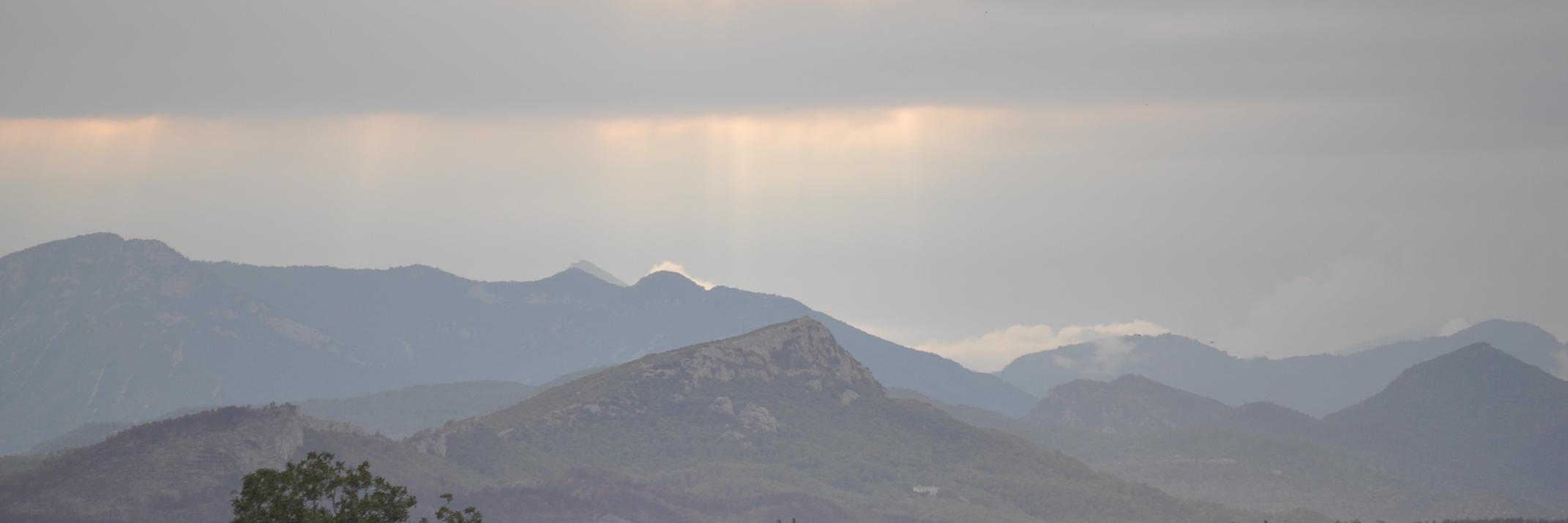 Andreu Jené CDR🎗 banner