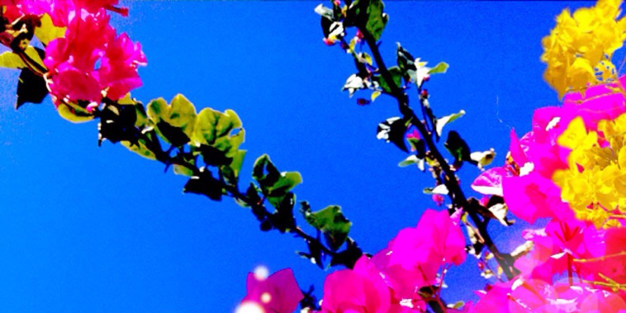 shin_d_o's profile banner image