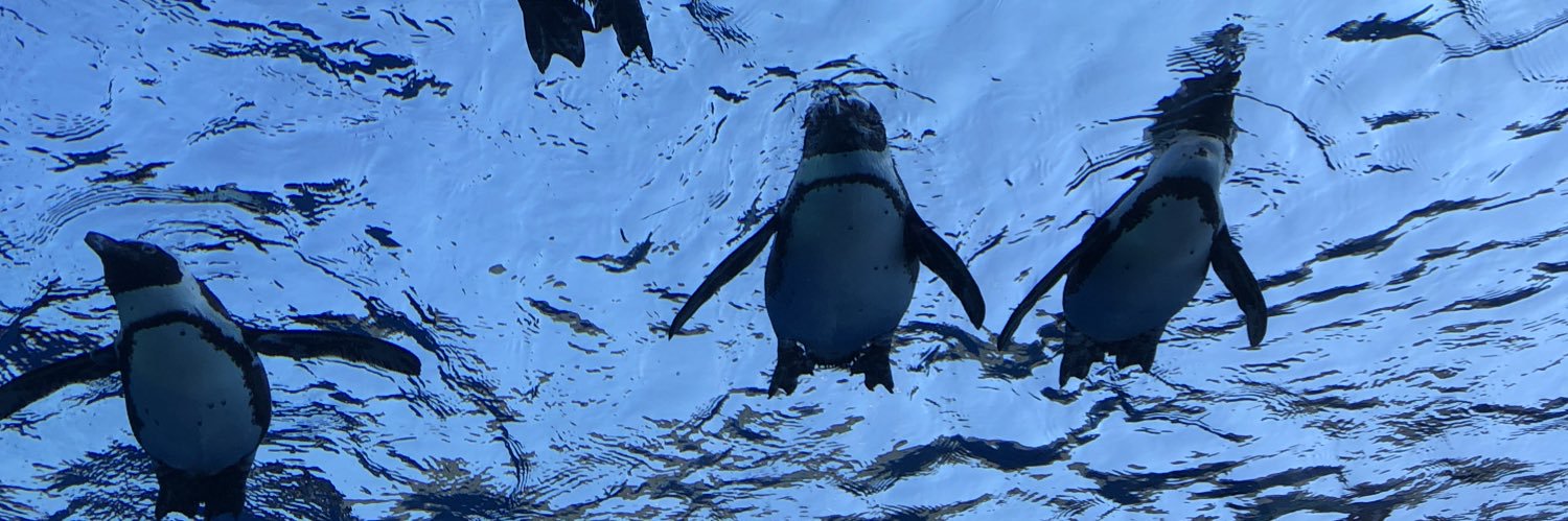 uzuraco's profile banner image