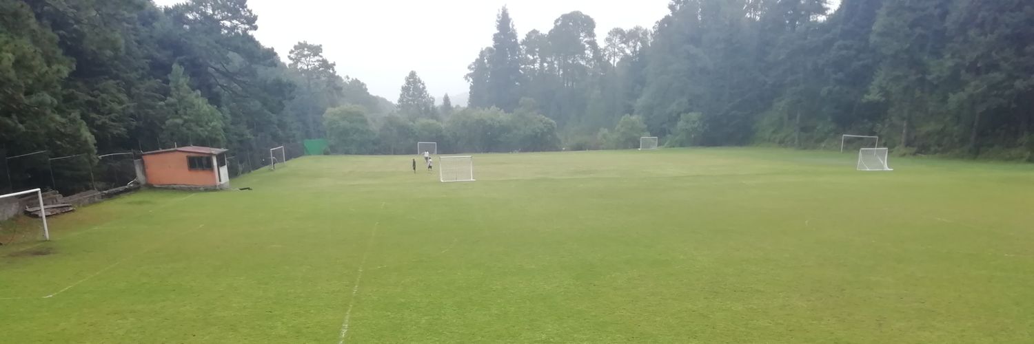 Marcos Palacios banner
