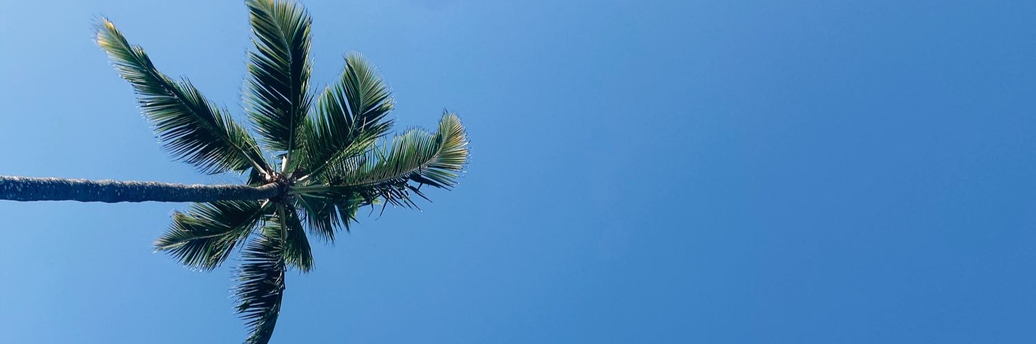 isaarantees's profile banner image