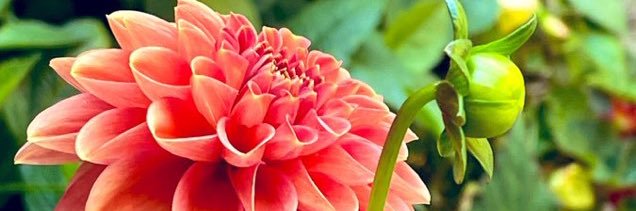 StephanieDelGi2's profile banner image
