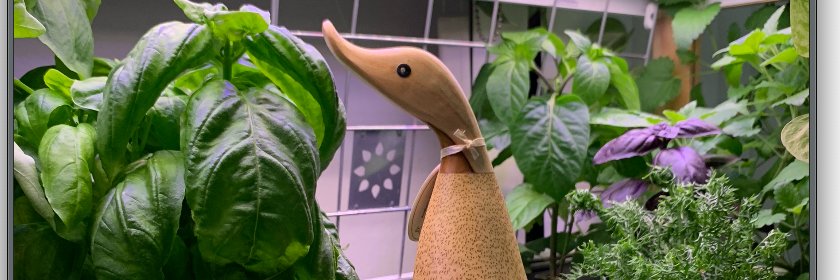 HappyQuips's profile banner image