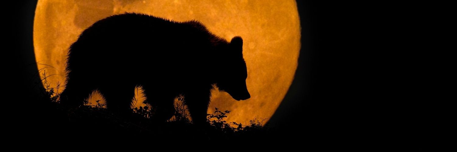 Lejambre 🇧🇷 banner