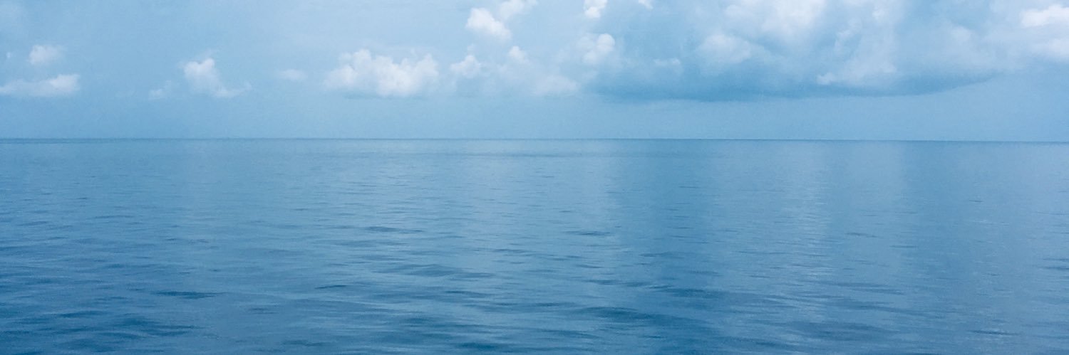 Commander Wilson banner