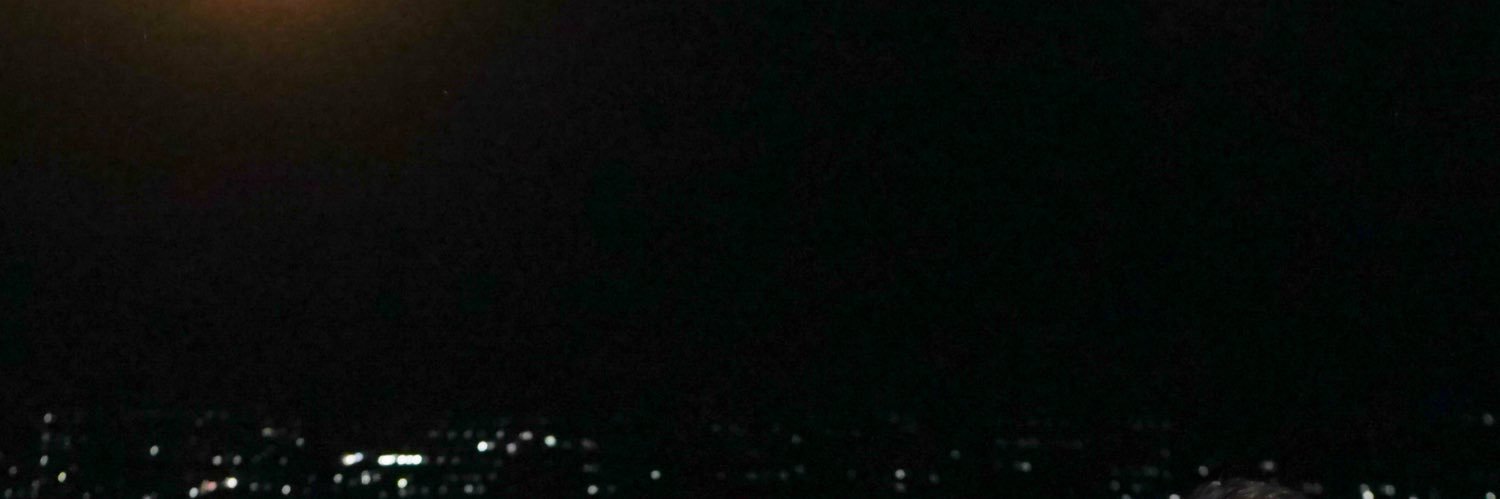 Angger Wiku banner