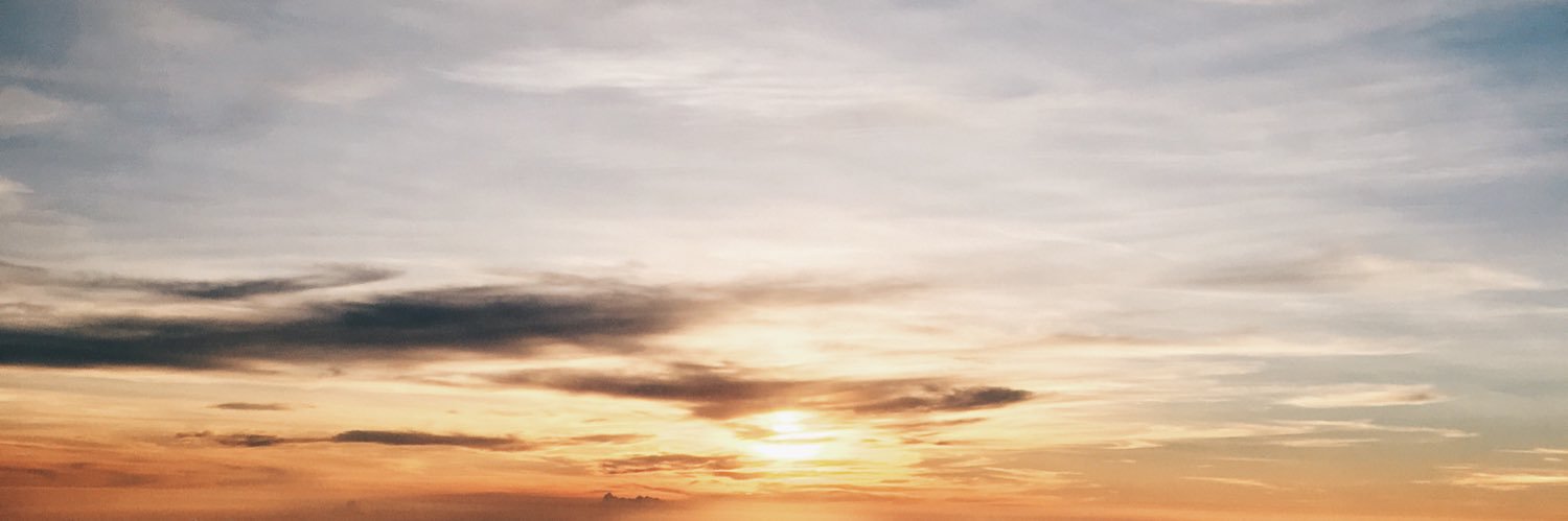 mindimys's profile banner image