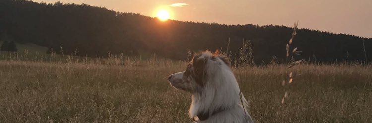 BillyTrosper's profile banner image
